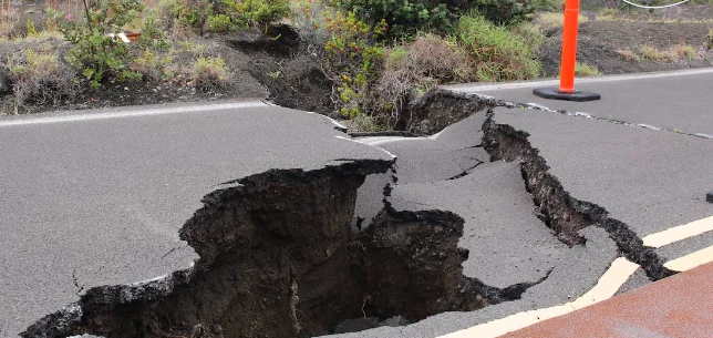 Terremoto in Turchia, cane salvato dopo 55 ore